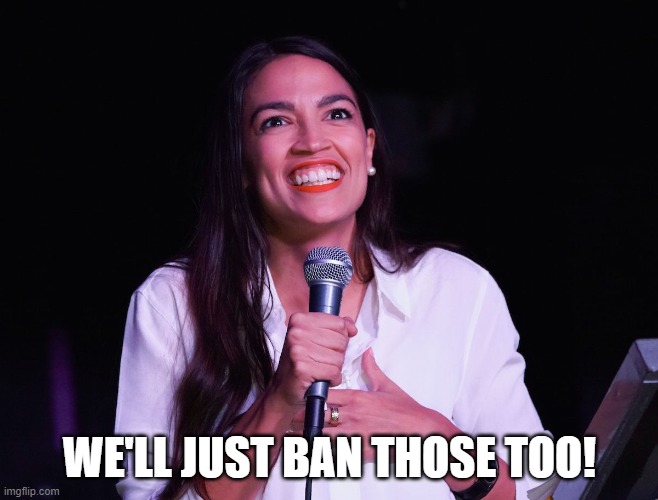 AOC Crazy | WE'LL JUST BAN THOSE TOO! | image tagged in aoc crazy | made w/ Imgflip meme maker