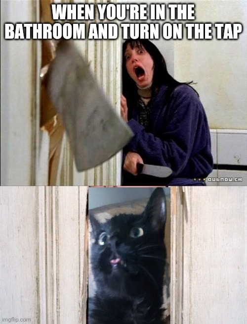 WHEN YOU'RE IN THE BATHROOM AND TURN ON THE TAP | image tagged in cats | made w/ Imgflip meme maker