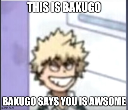 Bakugo sero smile | THIS IS BAKUGO; BAKUGO SAYS YOU IS AWSOME | image tagged in bakugo sero smile | made w/ Imgflip meme maker