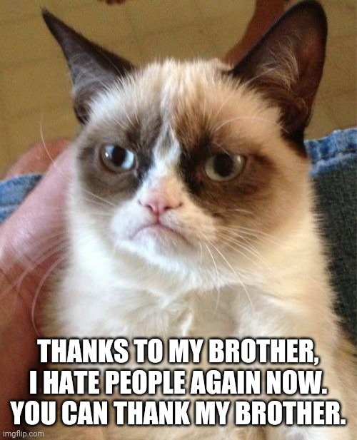 I hate that son of a bitch | THANKS TO MY BROTHER, I HATE PEOPLE AGAIN NOW. YOU CAN THANK MY BROTHER. | image tagged in memes,grumpy cat | made w/ Imgflip meme maker