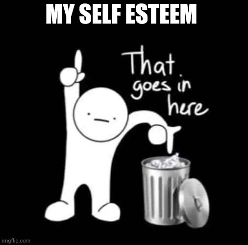 that goes in here | MY SELF ESTEEM | image tagged in that goes in here | made w/ Imgflip meme maker