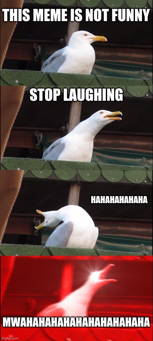 this is not funny | THIS MEME IS NOT FUNNY; STOP LAUGHING; HAHAHAHAHAHA; MWAHAHAHAHAHAHAHAHAHAHA | image tagged in memes,inhaling seagull | made w/ Imgflip meme maker