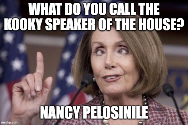 Get it? Yeah you must think I'm terrible. | WHAT DO YOU CALL THE KOOKY SPEAKER OF THE HOUSE? NANCY PELOSINILE | image tagged in nancy pelosi,trump 2020,stupid liberals,congress,democrats | made w/ Imgflip meme maker