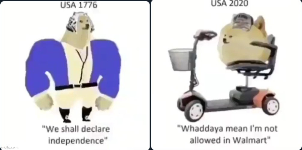 USA Then vs. Now | image tagged in memes | made w/ Imgflip meme maker