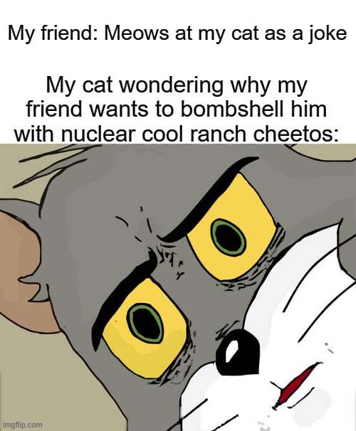Nuclear cool ranch cheetos |  My friend: Meows at my cat as a joke; My cat wondering why my friend wants to bombshell him with nuclear cool ranch cheetos: | image tagged in memes,unsettled tom | made w/ Imgflip meme maker