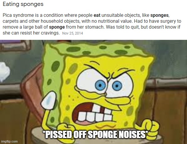 sponges are yummy | *PISSED OFF SPONGE NOISES* | made w/ Imgflip meme maker