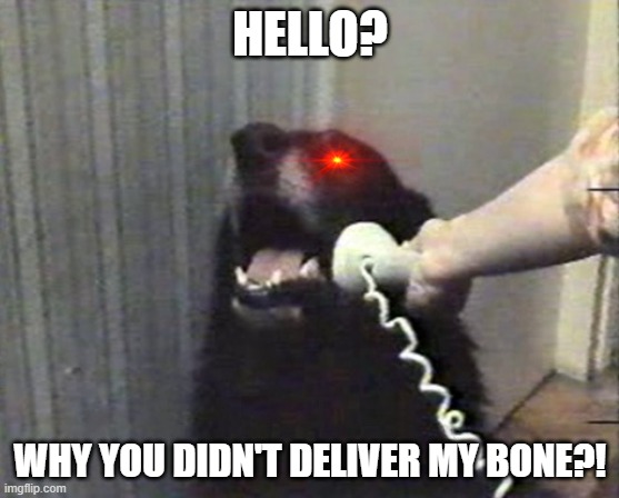 ;-; | HELLO? WHY YOU DIDN'T DELIVER MY BONE?! | image tagged in hello this is dog | made w/ Imgflip meme maker