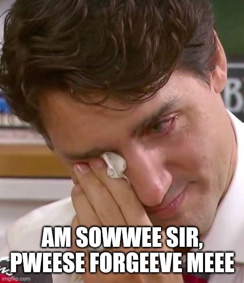 Justin Trudeau Crying | AM SOWWEE SIR, PWEESE FORGEEVE MEEE | image tagged in justin trudeau crying | made w/ Imgflip meme maker