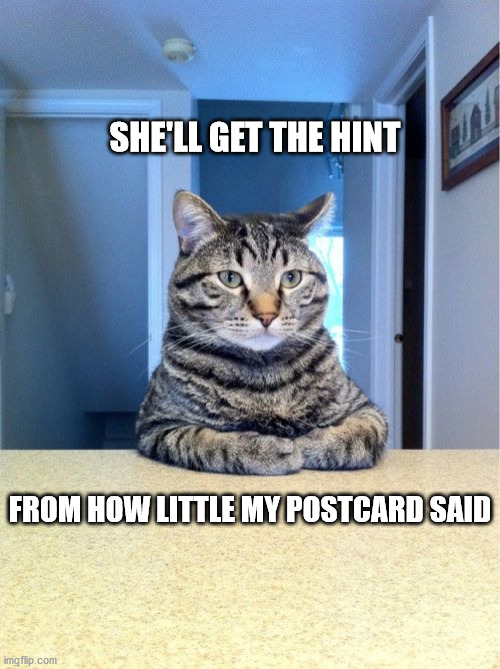 Take A Seat Cat Meme | SHE'LL GET THE HINT; FROM HOW LITTLE MY POSTCARD SAID | image tagged in memes,take a seat cat | made w/ Imgflip meme maker