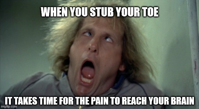 Scary Harry | WHEN YOU STUB YOUR TOE; IT TAKES TIME FOR THE PAIN TO REACH YOUR BRAIN | image tagged in memes,scary harry | made w/ Imgflip meme maker