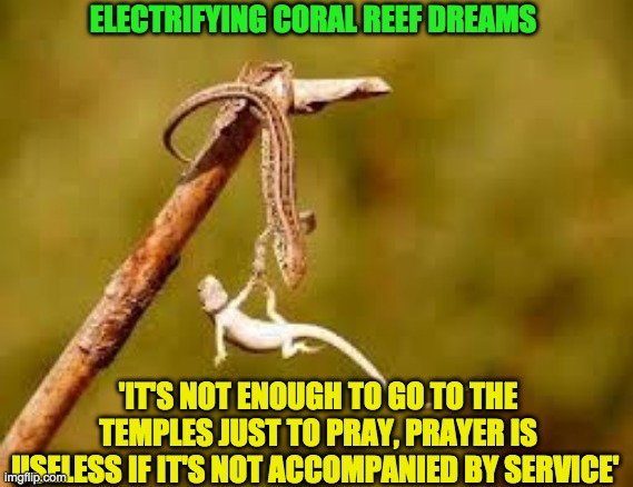 ELECTRIFYING CORAL REEF DREAMS; 'IT'S NOT ENOUGH TO GO TO THE TEMPLES JUST TO PRAY, PRAYER IS USELESS IF IT'S NOT ACCOMPANIED BY SERVICE' | image tagged in anti-religion | made w/ Imgflip meme maker