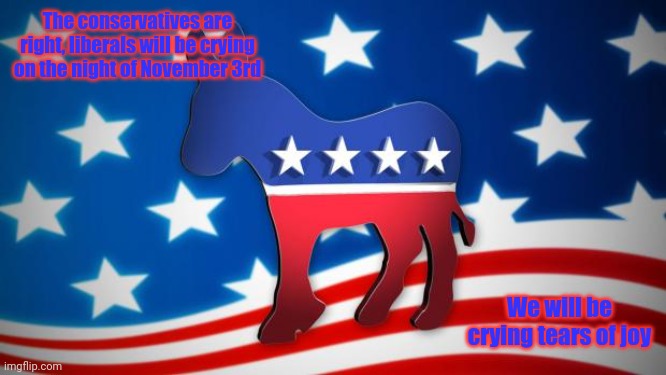 Democrats | The conservatives are right, liberals will be crying on the night of November 3rd; We will be crying tears of joy | image tagged in democrats | made w/ Imgflip meme maker