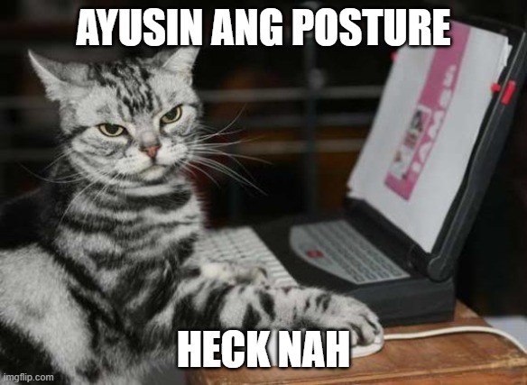 AYUSIN ANG POSTURE; HECK NAH | image tagged in grumpy cat | made w/ Imgflip meme maker