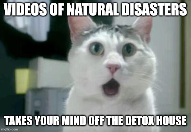 OMG Cat | VIDEOS OF NATURAL DISASTERS; TAKES YOUR MIND OFF THE DETOX HOUSE | image tagged in memes,omg cat | made w/ Imgflip meme maker