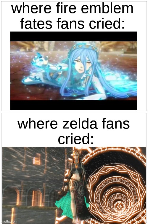 Blank Comic Panel 1x2 | where fire emblem fates fans cried:; where zelda fans 
cried: | image tagged in memes,blank comic panel 1x2 | made w/ Imgflip meme maker