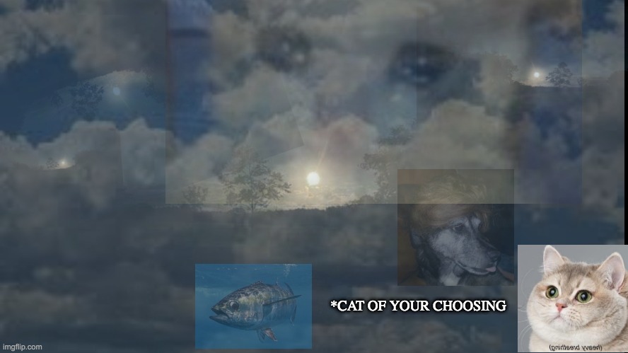 cats | *CAT OF YOUR CHOOSING | image tagged in cat,cats,kitten,stray,tom,litter | made w/ Imgflip meme maker