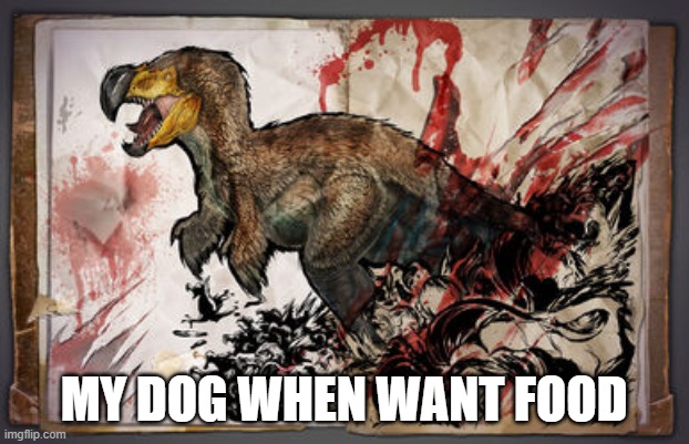 Dodo rex | MY DOG WHEN WANT FOOD | image tagged in angry | made w/ Imgflip meme maker