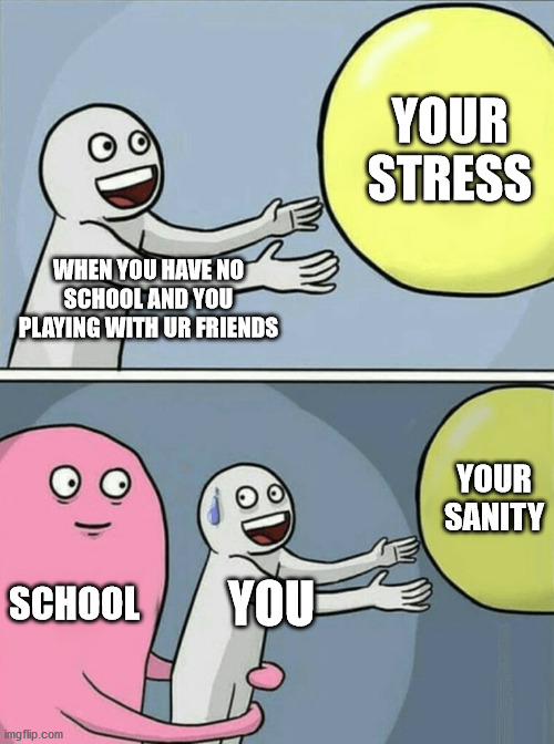 Running Away Balloon | YOUR STRESS; WHEN YOU HAVE NO SCHOOL AND YOU PLAYING WITH UR FRIENDS; YOUR SANITY; SCHOOL; YOU | image tagged in memes,running away balloon | made w/ Imgflip meme maker