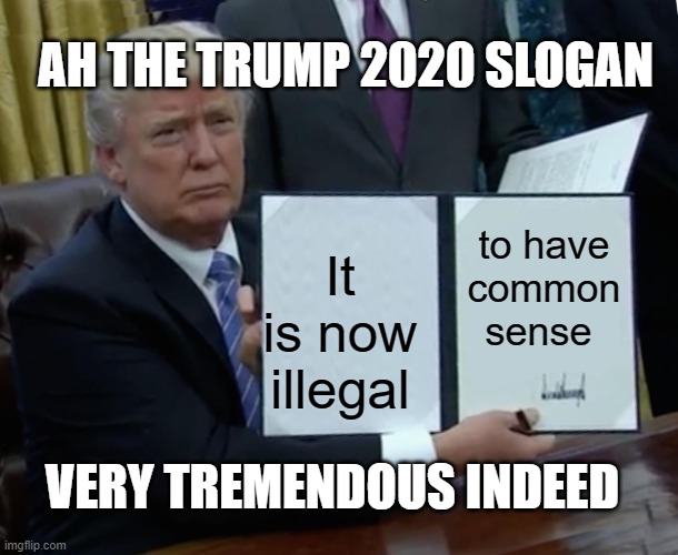 Trump 2020 Honest Campaign Slogan |  AH THE TRUMP 2020 SLOGAN; to have common sense; It is now illegal; VERY TREMENDOUS INDEED | image tagged in memes,trump bill signing,trump 2020 | made w/ Imgflip meme maker