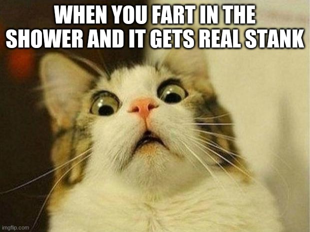 Real Stank | WHEN YOU FART IN THE SHOWER AND IT GETS REAL STANK | image tagged in memes,scared cat,farts | made w/ Imgflip meme maker