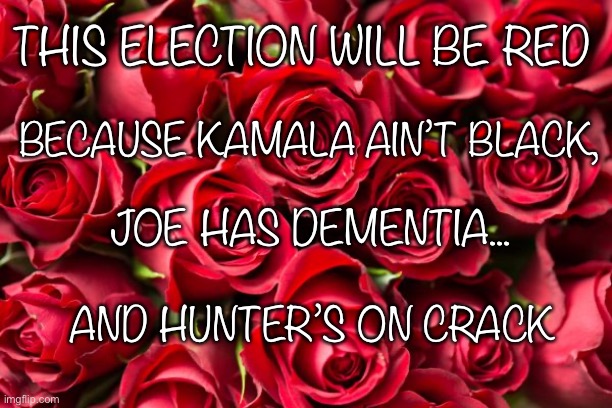 A 2020 Election Poem | THIS ELECTION WILL BE RED; BECAUSE KAMALA AIN’T BLACK, JOE HAS DEMENTIA... AND HUNTER’S ON CRACK | image tagged in poem,election 2020 | made w/ Imgflip meme maker