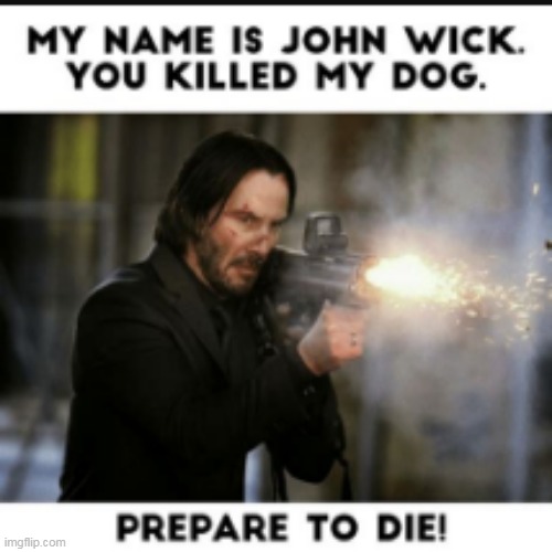 Bogeyman is scared | image tagged in john wick,dogs,fun,guns | made w/ Imgflip meme maker