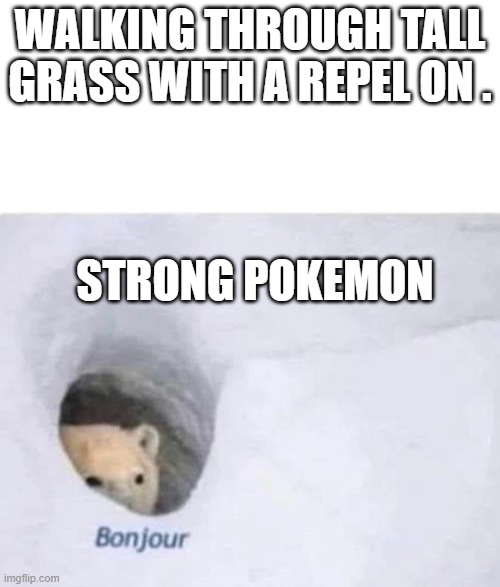 Bonjour | WALKING THROUGH TALL GRASS WITH A REPEL ON . STRONG POKEMON | image tagged in bonjour | made w/ Imgflip meme maker