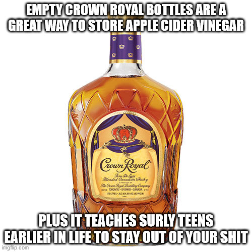 EMPTY CROWN ROYAL BOTTLES ARE A GREAT WAY TO STORE APPLE CIDER VINEGAR; PLUS IT TEACHES SURLY TEENS EARLIER IN LIFE TO STAY OUT OF YOUR SHIT | image tagged in parenting pro tips | made w/ Imgflip meme maker