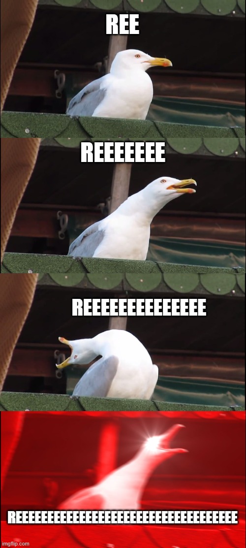 Inhaling Seagull | REE; REEEEEEE; REEEEEEEEEEEEEE; REEEEEEEEEEEEEEEEEEEEEEEEEEEEEEEEEEE | image tagged in memes,inhaling seagull | made w/ Imgflip meme maker