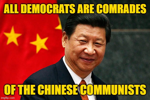 Xi Jinping | ALL DEMOCRATS ARE COMRADES OF THE CHINESE COMMUNISTS | image tagged in xi jinping | made w/ Imgflip meme maker