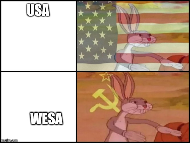 Idk what I'm doing | USA; WESA | image tagged in capitalist and communist | made w/ Imgflip meme maker