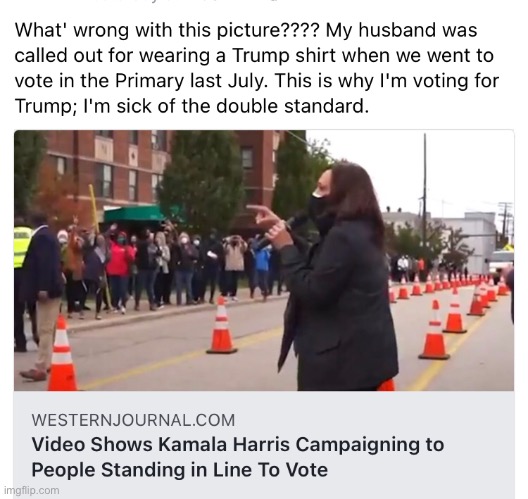 Democrats: Do as I say, not as I do | image tagged in kamala harris,joe biden,election 2020,2020 elections,memes,democrats | made w/ Imgflip meme maker