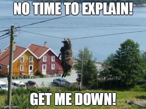Something you don't see every day... | image tagged in no time to explain,funny,power lines | made w/ Imgflip meme maker