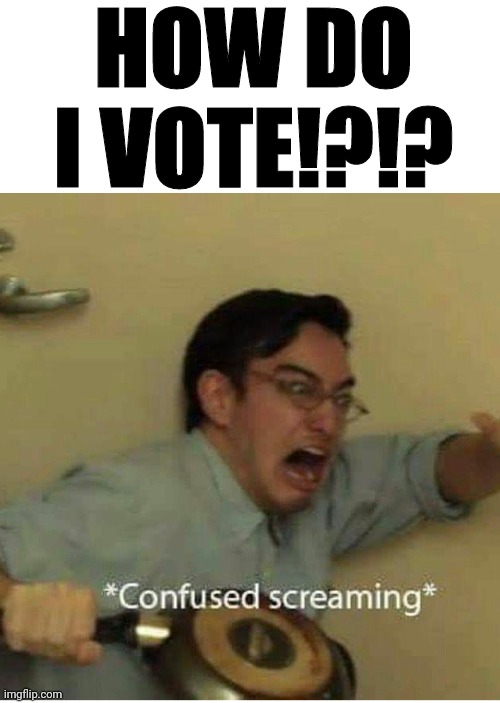 confused screaming | HOW DO I VOTE!?!? | image tagged in confused screaming | made w/ Imgflip meme maker