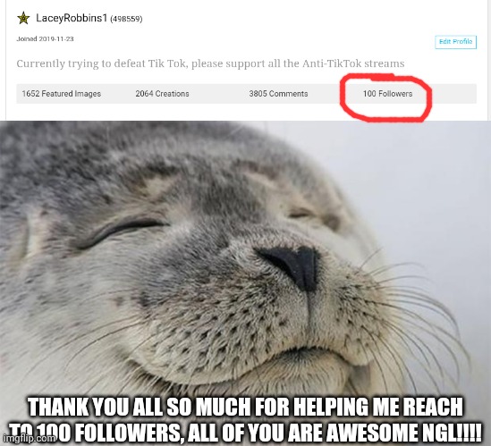 Yayyy, Thank You!!!!! :3 | THANK YOU ALL SO MUCH FOR HELPING ME REACH TO 100 FOLLOWERS, ALL OF YOU ARE AWESOME NGL!!!! | image tagged in memes,satisfied seal,so happy,100 followers achievement | made w/ Imgflip meme maker