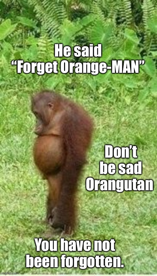Orange-man | He said “Forget Orange-MAN”; Don’t be sad Orangutan; You have not been forgotten. | image tagged in sad orangutan | made w/ Imgflip meme maker
