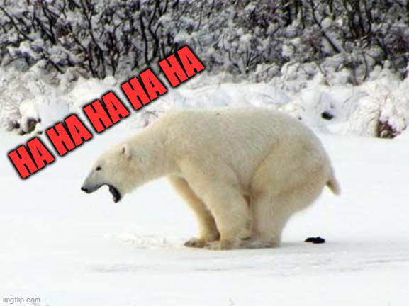 Polar Bear Shits in the Snow | HA HA HA HA HA | image tagged in polar bear shits in the snow | made w/ Imgflip meme maker