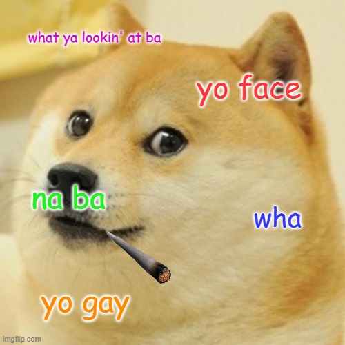 Doge Meme | what ya lookin' at ba; yo face; na ba; wha; yo gay | image tagged in memes,doge | made w/ Imgflip meme maker