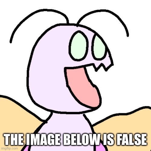 asher pog | THE IMAGE BELOW IS FALSE | image tagged in asher pog | made w/ Imgflip meme maker