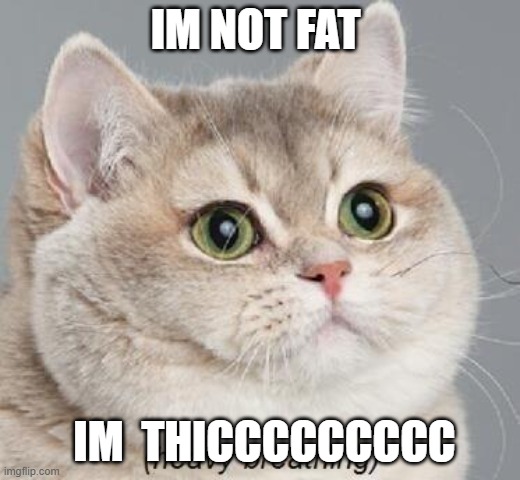 Heavy Breathing Cat Meme | IM NOT FAT; IM  THICCCCCCCCC | image tagged in memes,heavy breathing cat | made w/ Imgflip meme maker