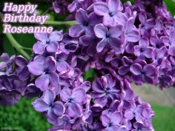 Happy Birthday Roseanne | Happy 
Birthday
Roseanne | image tagged in happy birthday lilacs,happy birthday,memes | made w/ Imgflip meme maker