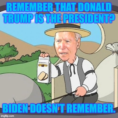 Biden remembers | REMEMBER THAT DONALD TRUMP IS THE PRESIDENT? BIDEN DOESN’T REMEMBER. | image tagged in biden remembers,politics,political meme | made w/ Imgflip meme maker