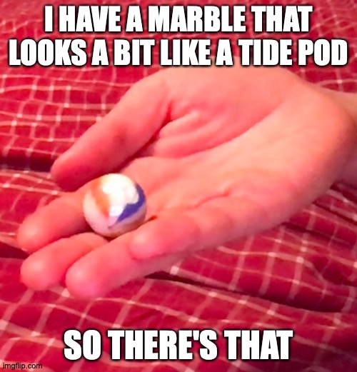 Tastes Alright | I HAVE A MARBLE THAT LOOKS A BIT LIKE A TIDE POD; SO THERE'S THAT | image tagged in memes,marbles,tide pod,who would win | made w/ Imgflip meme maker