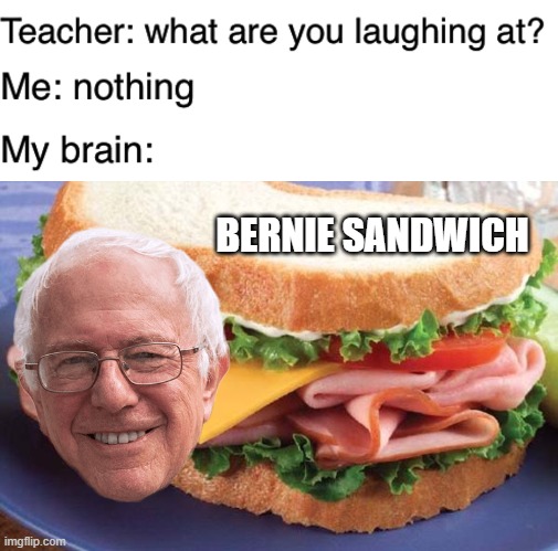 Ham and financial support on rye | BERNIE SANDWICH | image tagged in sandwich,teacher what are you laughing at | made w/ Imgflip meme maker