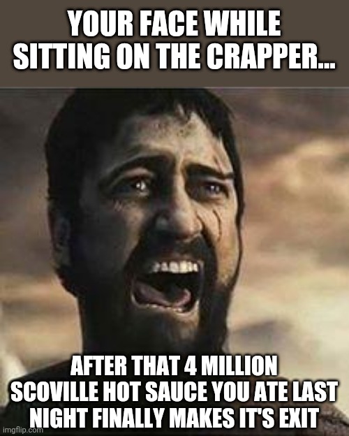 Extremely potent hot sauce....its rough going in, but its bloody awful coming out. | YOUR FACE WHILE SITTING ON THE CRAPPER... AFTER THAT 4 MILLION SCOVILLE HOT SAUCE YOU ATE LAST NIGHT FINALLY MAKES IT'S EXIT | image tagged in confused screaming,hot sauce | made w/ Imgflip meme maker