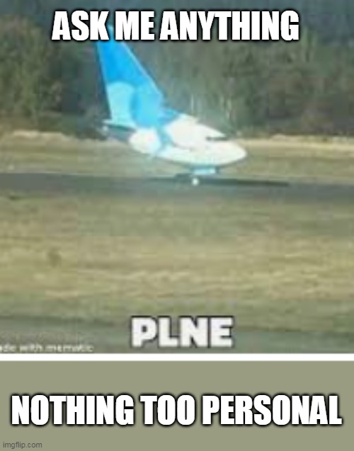 Plne | ASK ME ANYTHING; NOTHING TOO PERSONAL | image tagged in plne | made w/ Imgflip meme maker