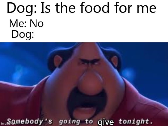 Doggo hungry | Dog: Is the food for me; Me: No; Dog:; give | image tagged in somebody's going to die tonight,dogs,food,is for me | made w/ Imgflip meme maker