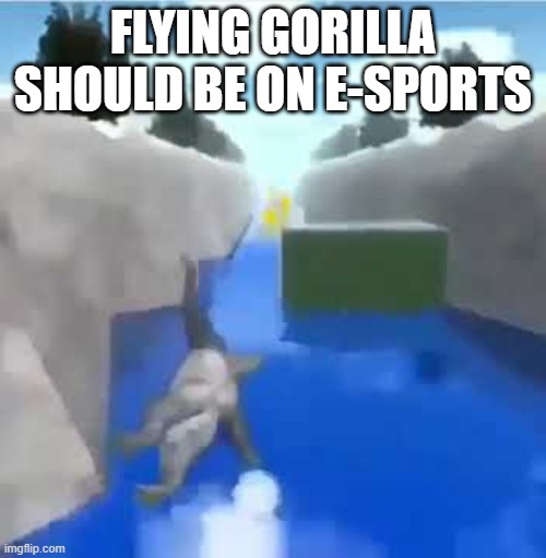 Flying gorillas bizzare adventure part 1 | FLYING GORILLA SHOULD BE ON E-SPORTS | image tagged in memes,gorilla | made w/ Imgflip meme maker