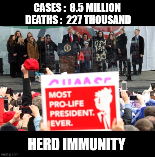 Herd Stupidity | CASES :  8.5 MILLION 
DEATHS :  227 THOUSAND; HERD IMMUNITY | image tagged in trump is a moron,donald trump is an idiot,election 2020,covid-19 | made w/ Imgflip meme maker