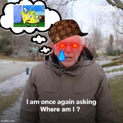 Wha where am I | Where am I ? | image tagged in memes,bernie i am once again asking for your support | made w/ Imgflip meme maker